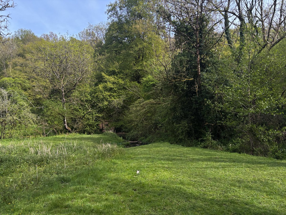 girlnthewoods's tweet photo. spring i love u https://t.co/gqz7gQWdI0