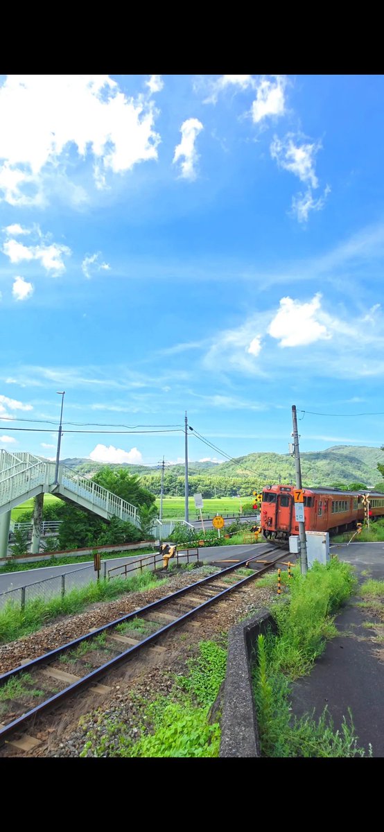 SoraHikari tweet media