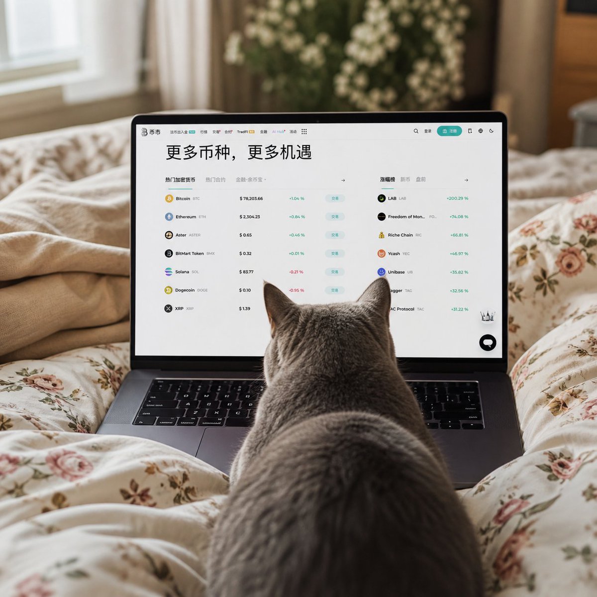 BitMart 币市 tweet media