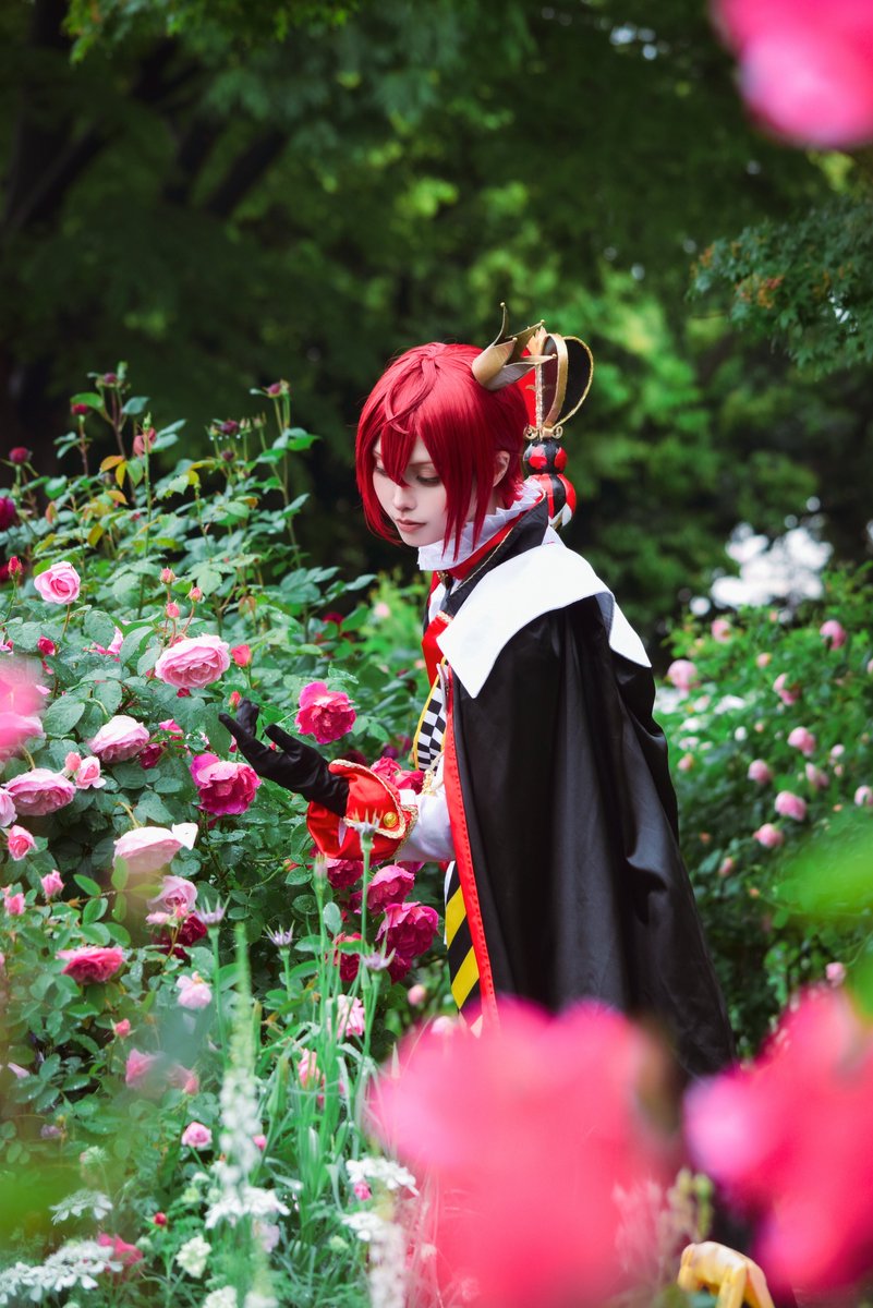 あきら🐈‍⬛スパコミお手伝い tweet media