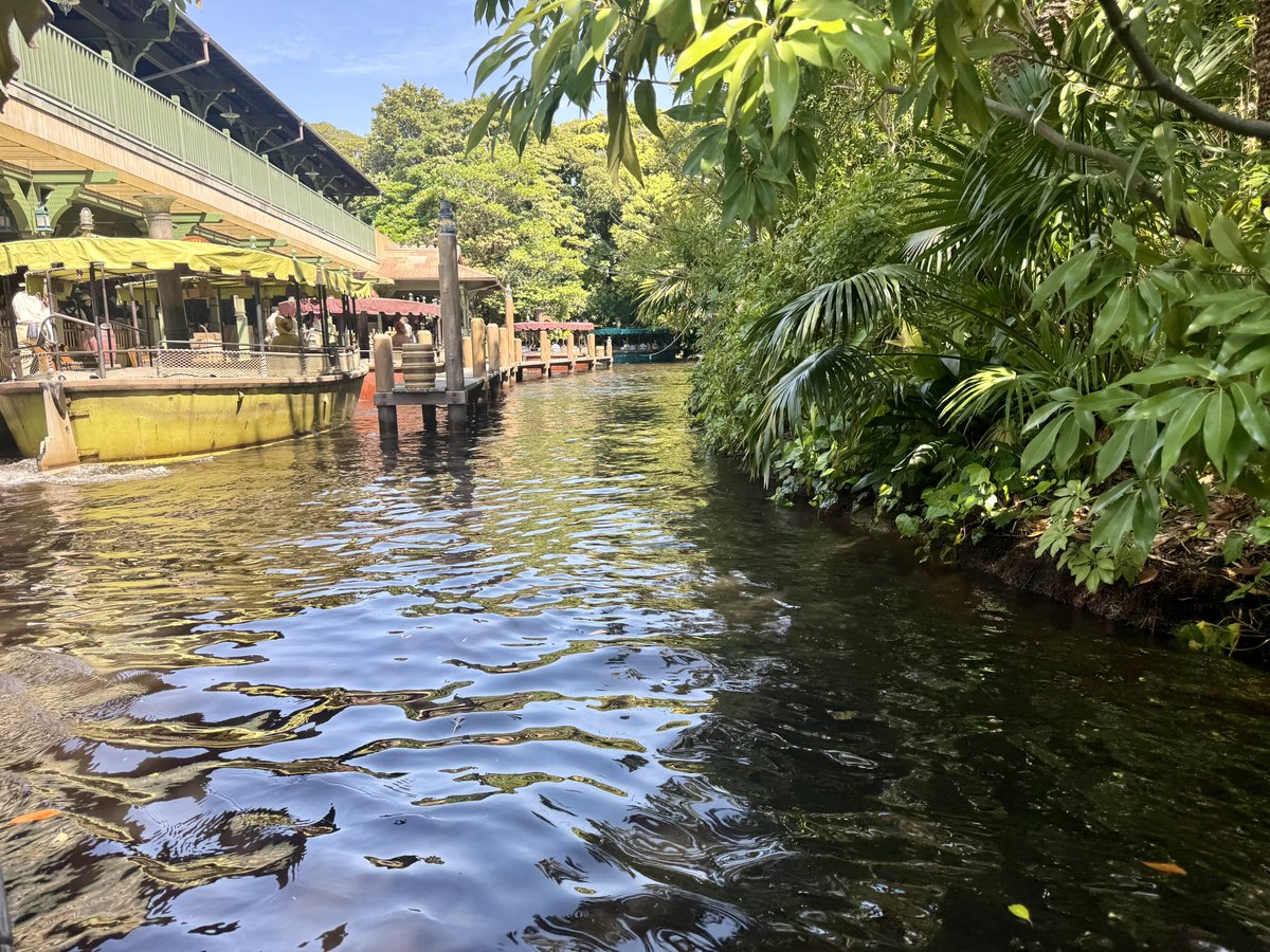 スタッフA太郎 tweet media