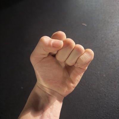 那須川 天心 tweet media