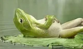 DTNEtiquette's tweet image. Take a moment to just chill and reflect on life...ahhh! Feel better? Me too! ~ #DTN #zenmoments #mindfulness