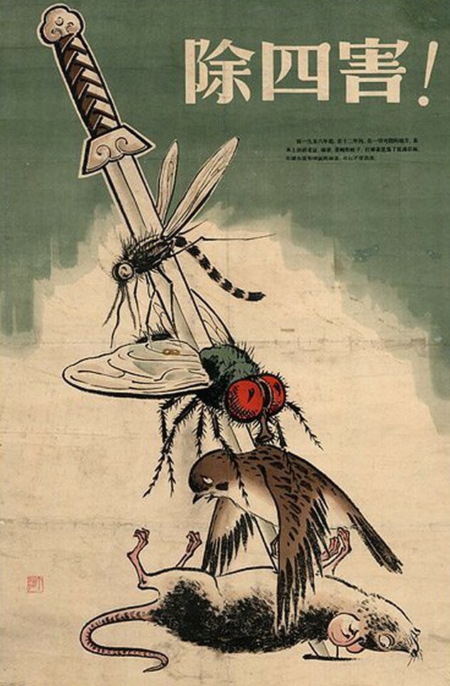 heatonmoorpark's tweet image. Sparrows and the park....Six Lessons From the World’s Deadliest Environmental Disaster China’s Great Sparrow Campaign aimed to “conquer nature” but resulted in as many as 75 million human deaths    #sparrows #Twitterstorians therevelator.org/china-sparrow-…