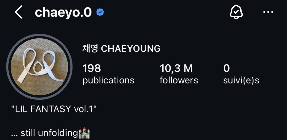 Chaeyoung Support Team 🏰 tweet media