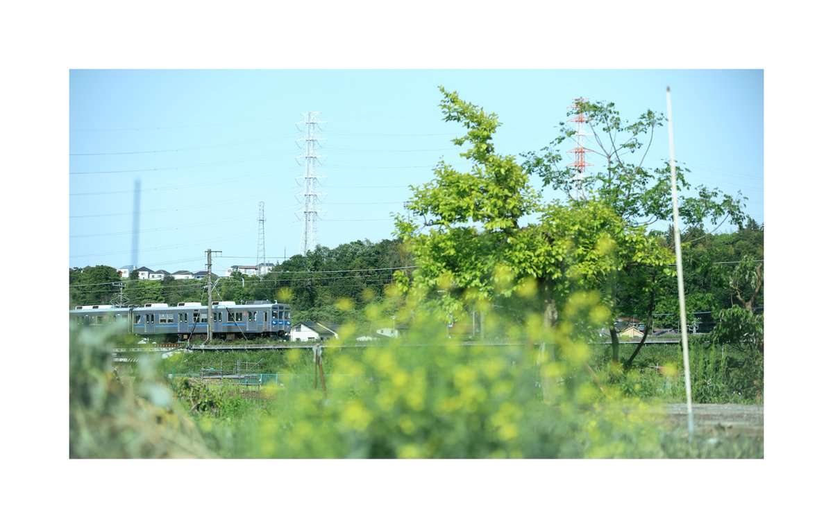 おーはし tweet media