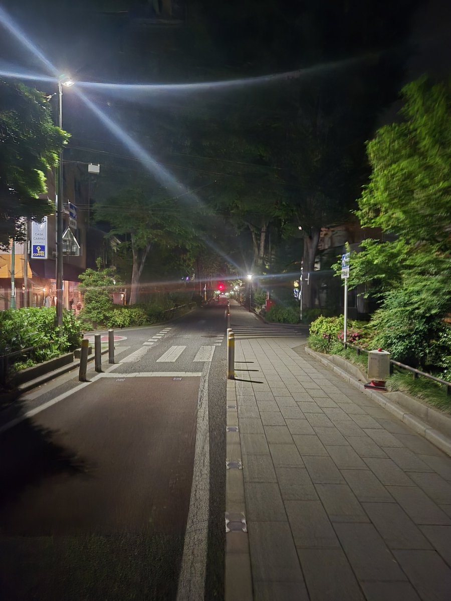 yolekin's tweet photo. こゆとこ歩いてると新緑が精子の匂いするなあ https://t.co/6FTryiBHxM