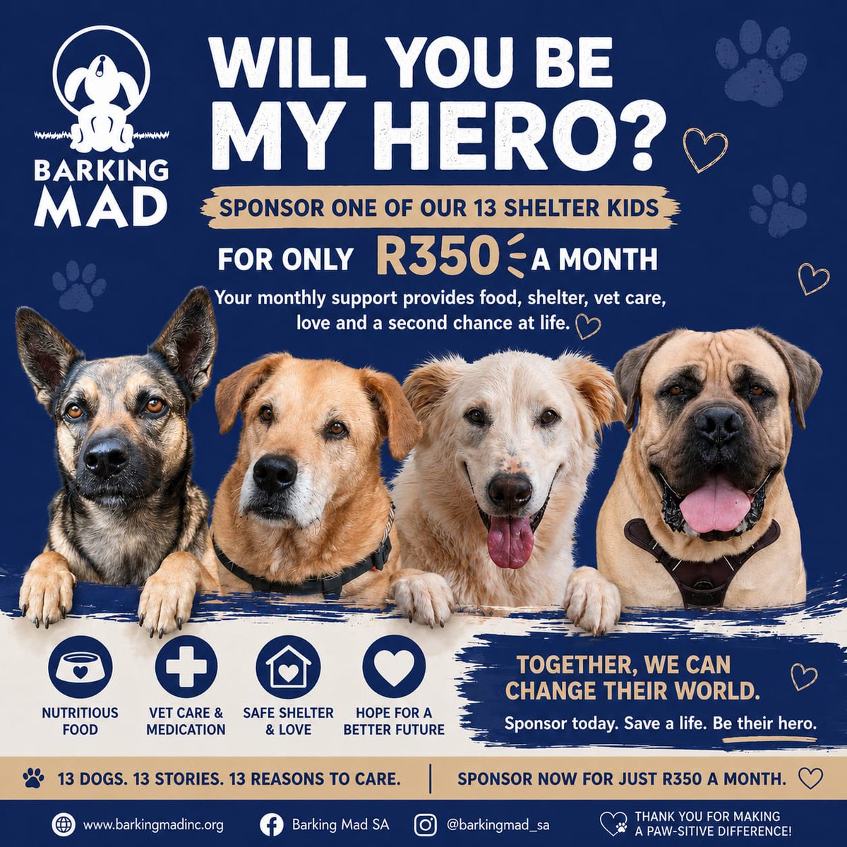 BarkingMadSA's tweet photo. 🐶 Will You Be Their Hero?

Right now, 13 beautiful souls are waiting… watching… hoping.
Not for miracles — just for someone like you.

Each of our shelter kids has a story. Some were abandoned, some forgotten, but all of them still believe in love. And every single one deserves a full bowl, a warm bed, proper vet care… and a second chance at life.
For just R350 a month, you can become a hero in their story.

Your sponsorship helps provide:
🐾 Nutritious food
🐾 Essential vet care & medication
🐾 Safe shelter and daily love
🐾 Hope for a brighter future

It may feel like a small amount, but to them? It’s everything.

When you sponsor a dog, you’re not just covering costs — you’re giving comfort, dignity, and the chance to one day find a forever home.

13 dogs. 13 stories. 13 reasons to care.
So… will you be the one they’ve been waiting for?

🐕 Sponsor today. Change a life forever.

https://t.co/4bWSc7qTVz