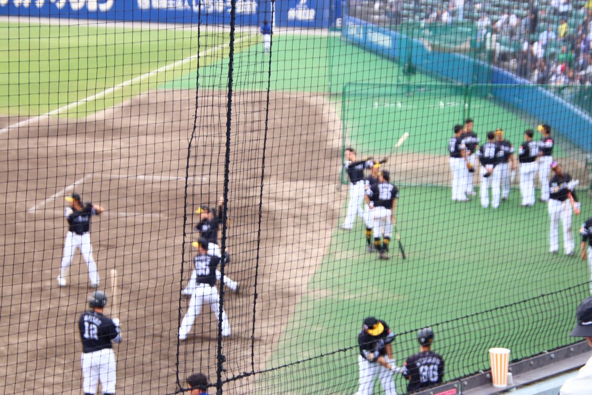 たんたんめん。バンテリンドーム全試合 tweet media