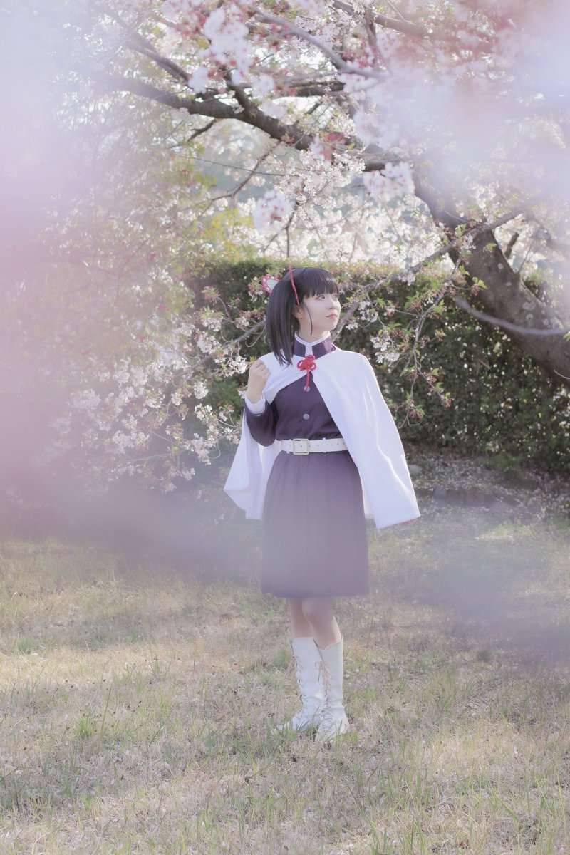 *cosplay｜栗花落カナヲ 🌸
  photo : <a href="/RA_AR_N/">R.A.</a>