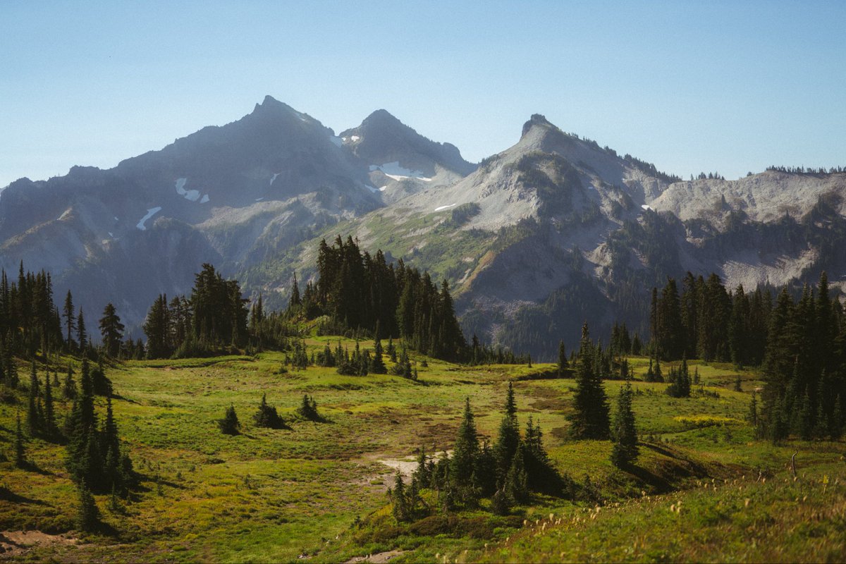 shotbypeach's tweet photo. it’s hard to beat summer in the pnw https://t.co/4viXtrde0R