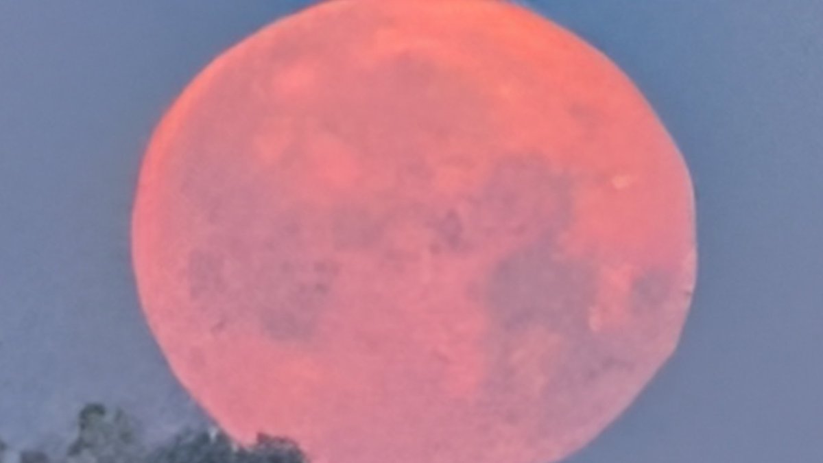grabermike's tweet photo. Almost full moon setting over the foggy lake Pleasant Creek campground IA @KCRG_FirstAlert @GHeydWx @KopelmanWX @KGAN_Weather @WXSchnack @StormAlertWx7 @IAStormChasing @NWSQuadCities  @KyleKielWX  @eileenloanWX @CoreyT_WX @NStewWX @ICHawkeye https://t.co/CsgzJST0qs