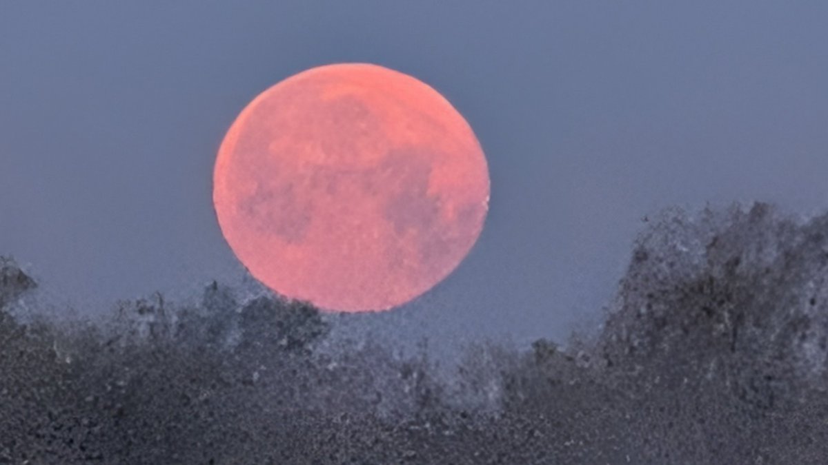 grabermike's tweet photo. Almost full moon setting over the foggy lake Pleasant Creek campground IA @KCRG_FirstAlert @GHeydWx @KopelmanWX @KGAN_Weather @WXSchnack @StormAlertWx7 @IAStormChasing @NWSQuadCities  @KyleKielWX  @eileenloanWX @CoreyT_WX @NStewWX @ICHawkeye https://t.co/CsgzJST0qs