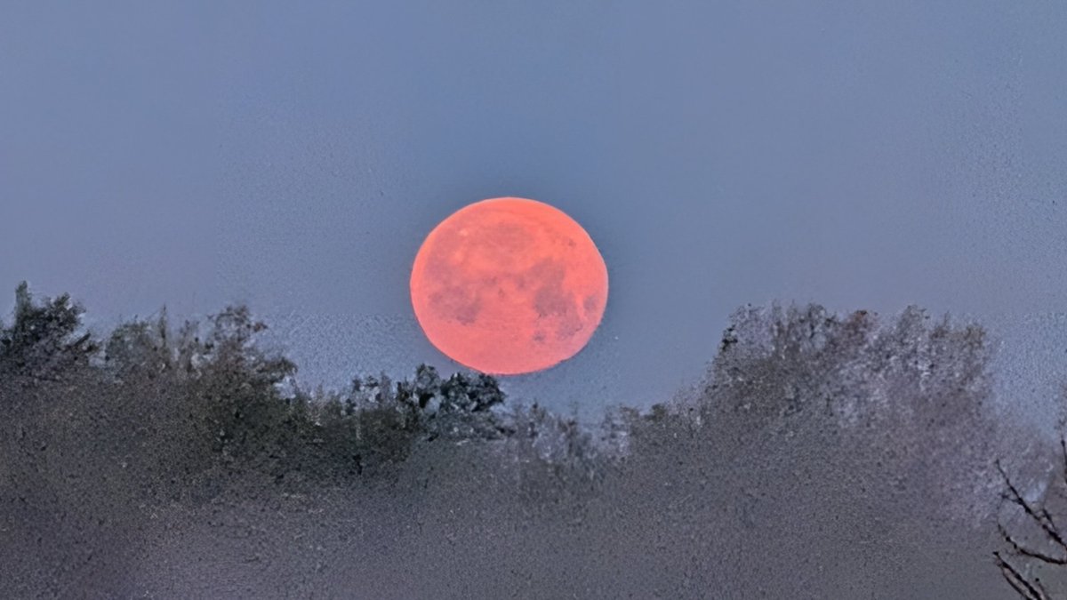 grabermike's tweet photo. Almost full moon setting over the foggy lake Pleasant Creek campground IA @KCRG_FirstAlert @GHeydWx @KopelmanWX @KGAN_Weather @WXSchnack @StormAlertWx7 @IAStormChasing @NWSQuadCities  @KyleKielWX  @eileenloanWX @CoreyT_WX @NStewWX @ICHawkeye https://t.co/CsgzJST0qs