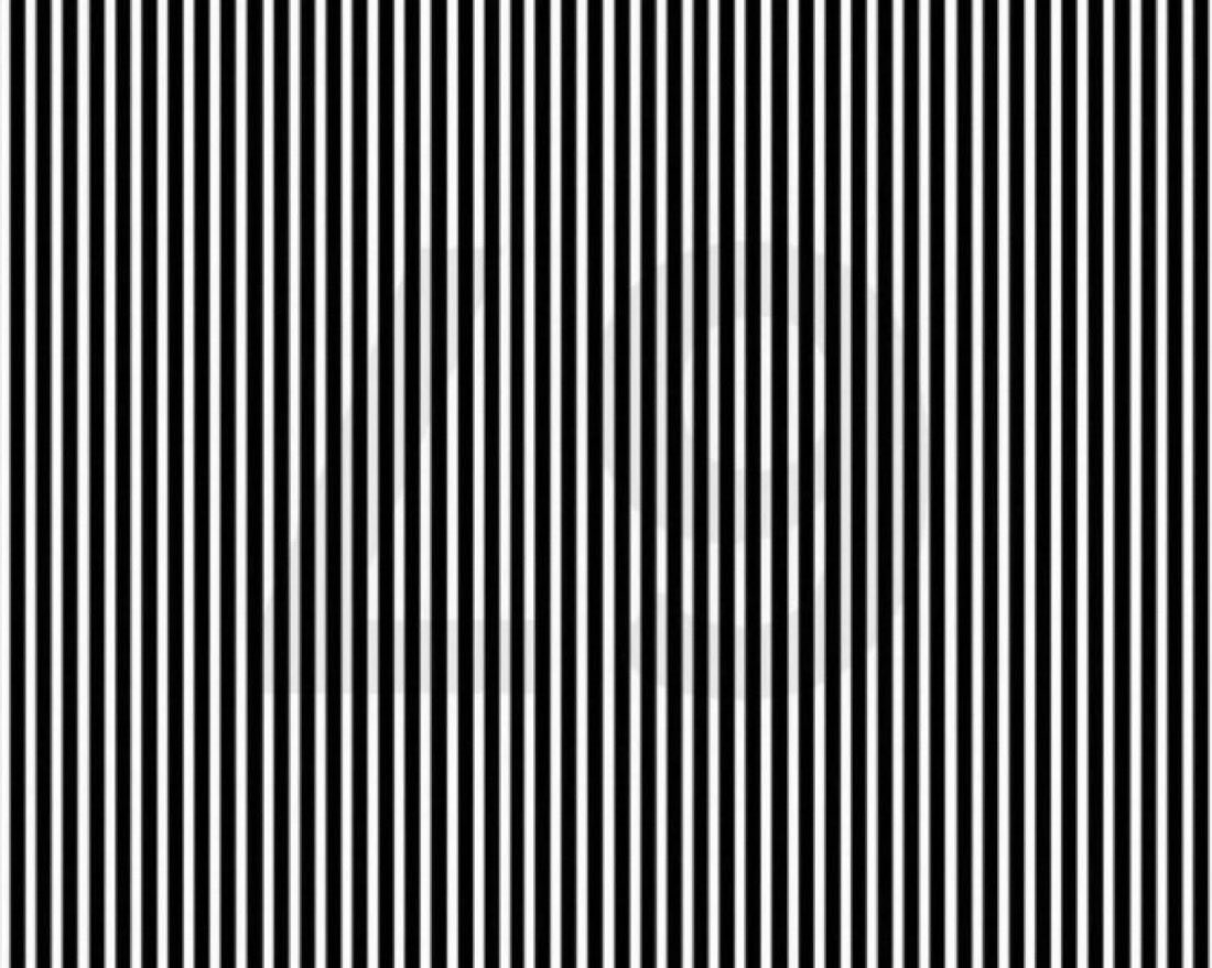 BIG DAN tweet media