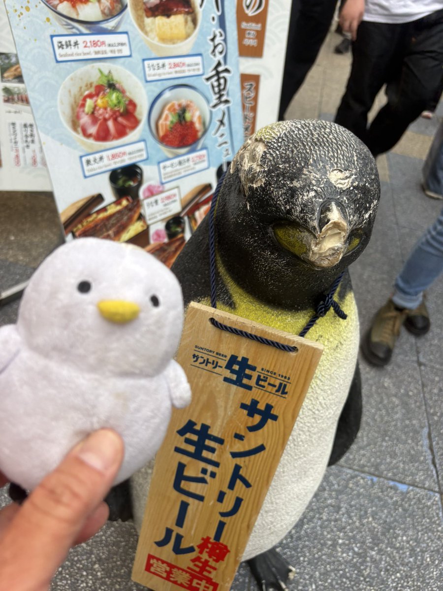 もちぴょん tweet media