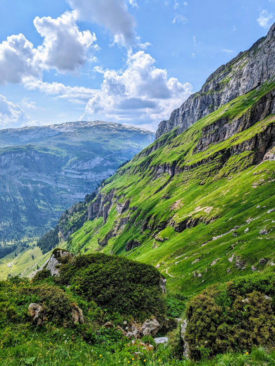 HikingSwitzerland tweet media
