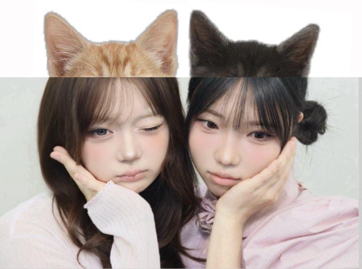 gentle yujin tweet media