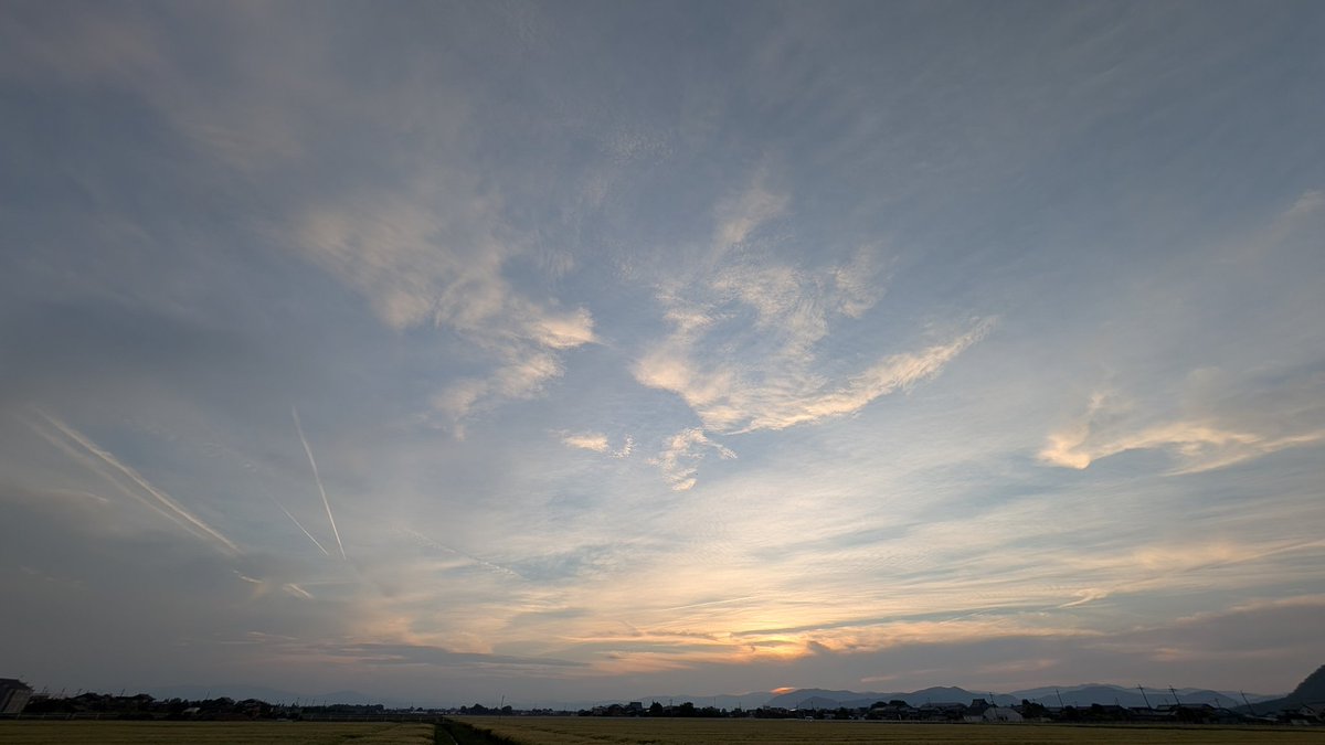 きんとと雲 tweet media