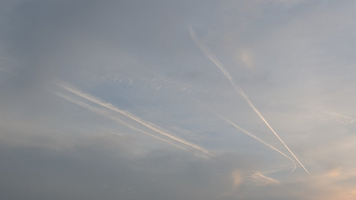 きんとと雲 tweet media