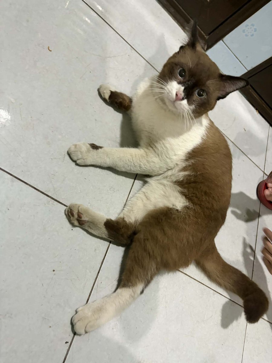 JohnJud | CUVET Animal Welfare Club tweet media