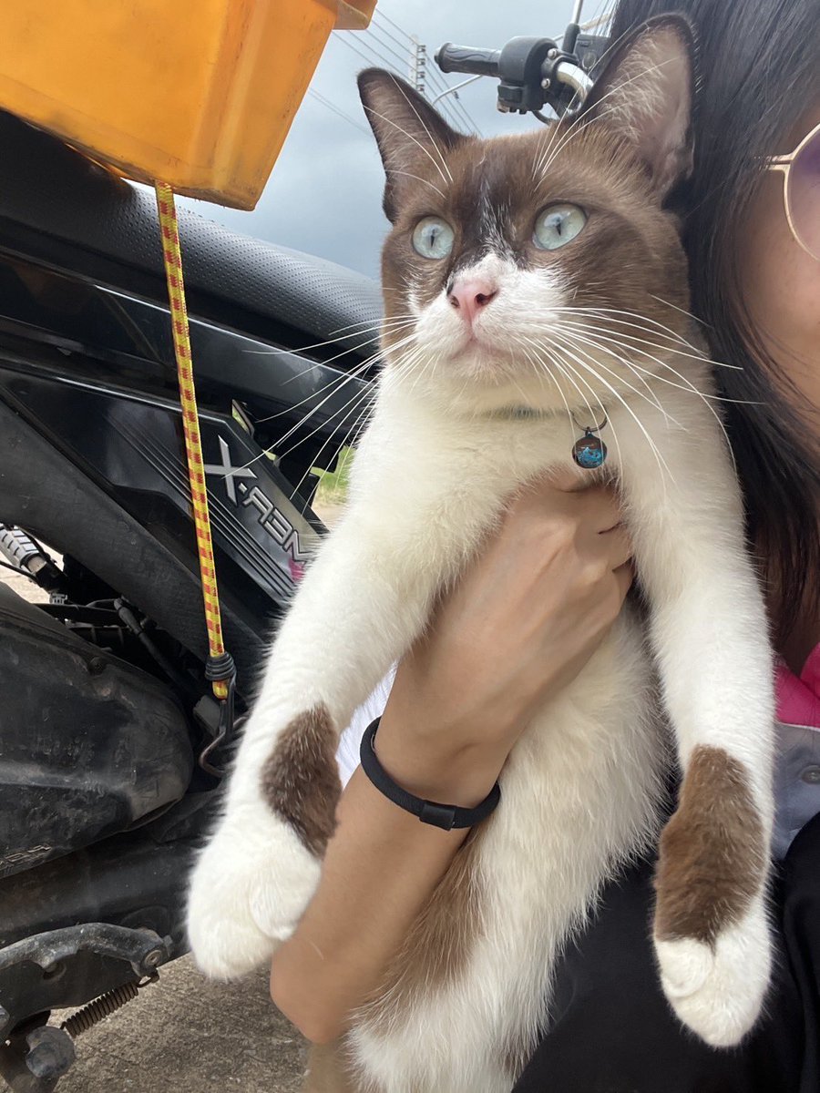 JohnJud | CUVET Animal Welfare Club tweet media