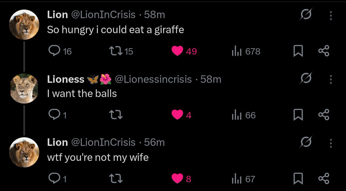 Damagehands's tweet image. BREAKING 🚨:
Lion has memory loss??

Lioness needs are unmet, does Lion wear a green hat???

#animaltwt #drama