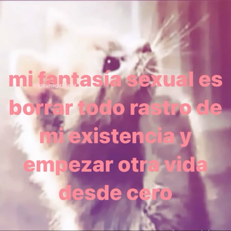 ⋆. 𐙚 ˚lukaa⋆. 𐙚 ˚ tweet media