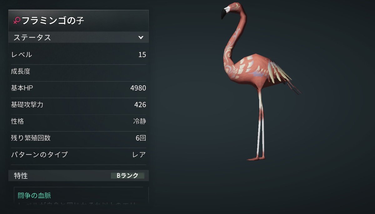 フラミンゴ⑅◡̈ フラミンゴ🦩がいるレストランだよ