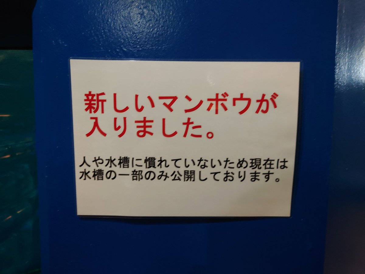 ありlナー tweet media