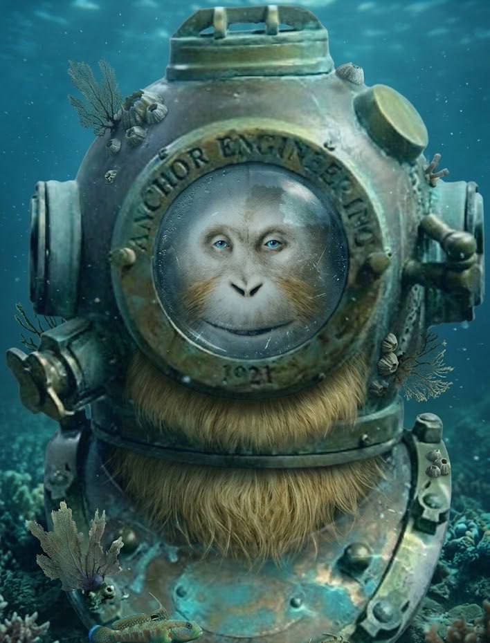 Esoteric Monkey tweet media