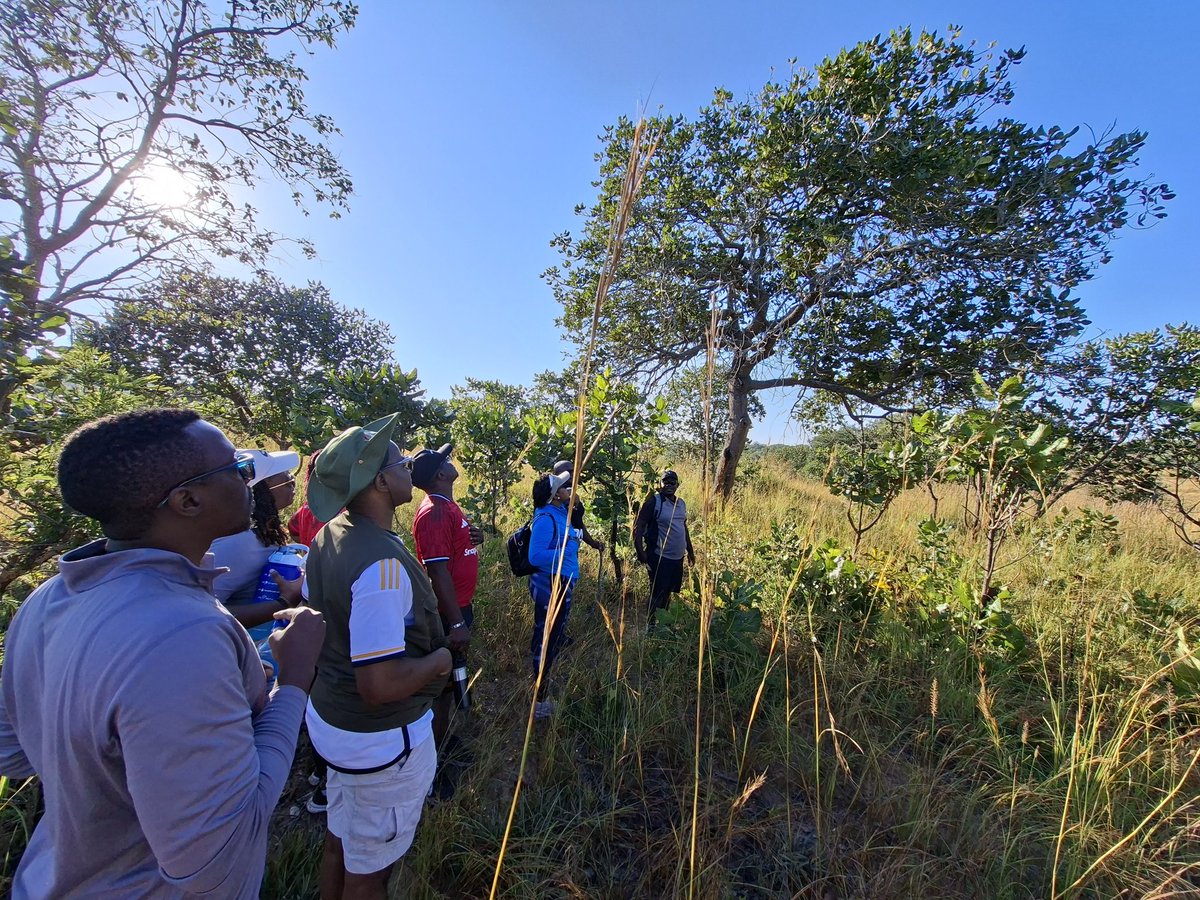 Mwaba Mwila Adventures tweet media