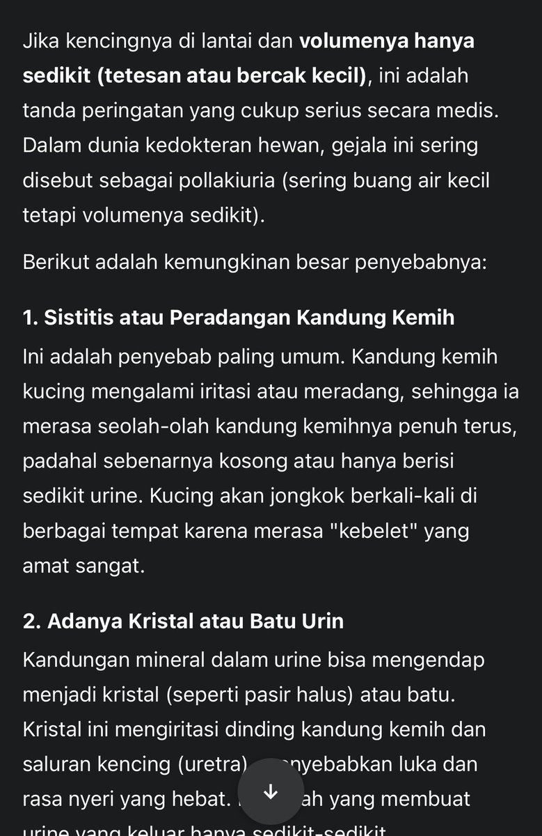 daru tweet media