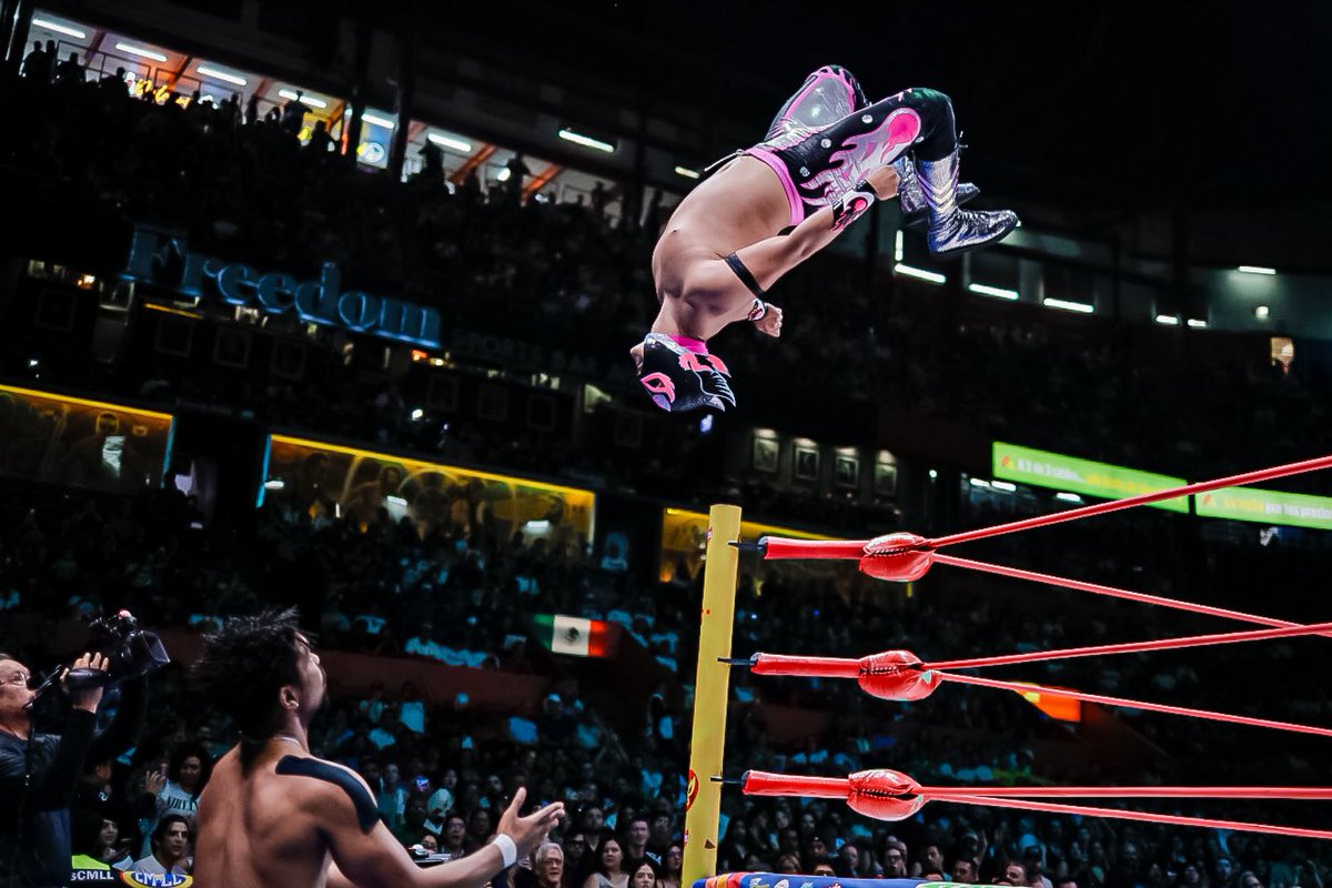 WrestlingPhobia's tweet image. Buena velada entre el CMLL y MLW. El triunfo sufrido de Templario ante Kushida para convertirse en nuevo Middleweight Champion fue lo mejor de la noche junto al combate de Olympia y Lady Frost. Neón vs. Diego Hill bien, pero esperaba algo más.

#CMLLvsMLW #ViernesEspectacularCMLL
