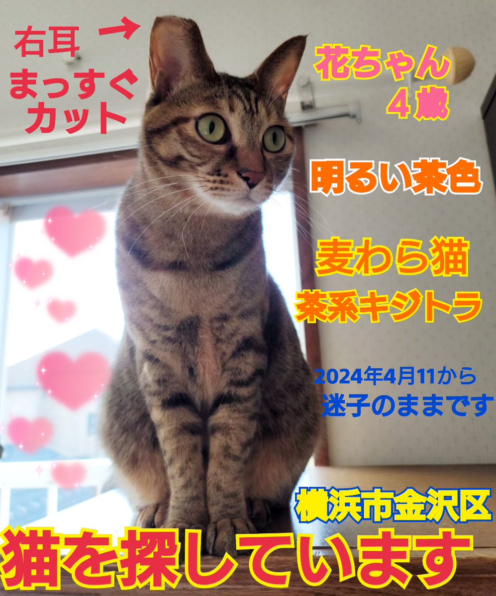 えみ tweet media