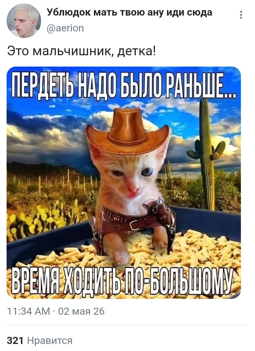 ОЖП tweet media