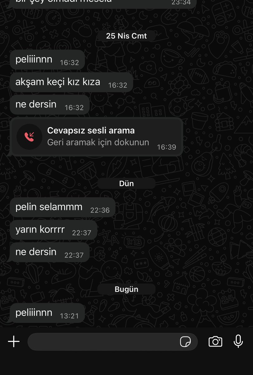 pelin tweet media
