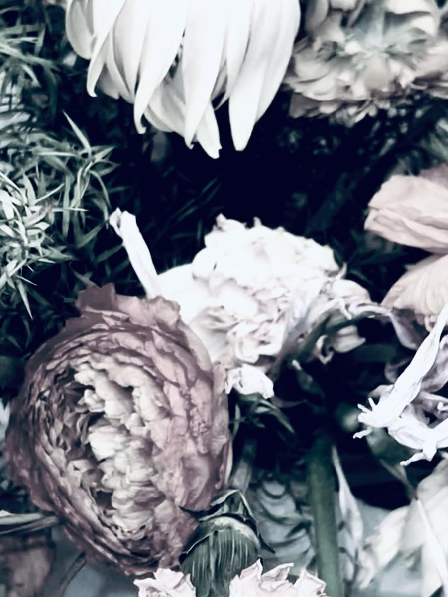 𝐅𝐚𝐧𝐛𝐚𝐬𝐞 𝐋Ø𝐔𝐃𝐈 𝐅𝐫𝐚𝐧𝐜𝐞 🇫🇷 tweet media
