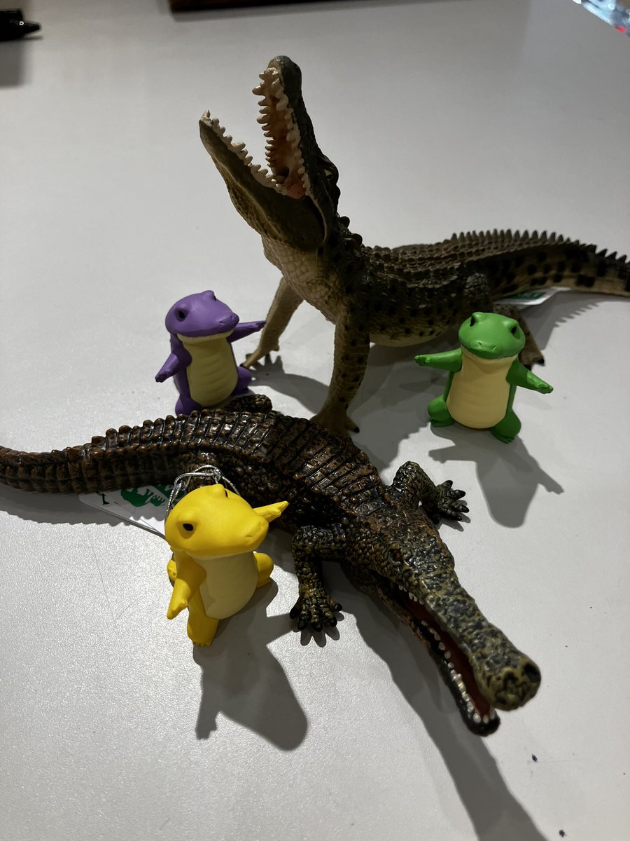 🆕新ガチャのお知らせ🆕 🐊わになるワニ🐊 カラフルなワニたち可愛す