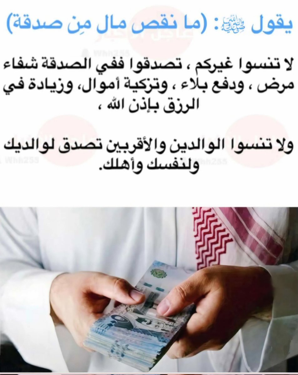 سفاري💐🍁🌹 tweet media