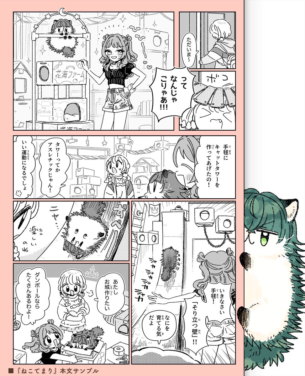 南瓜🌟 tweet media