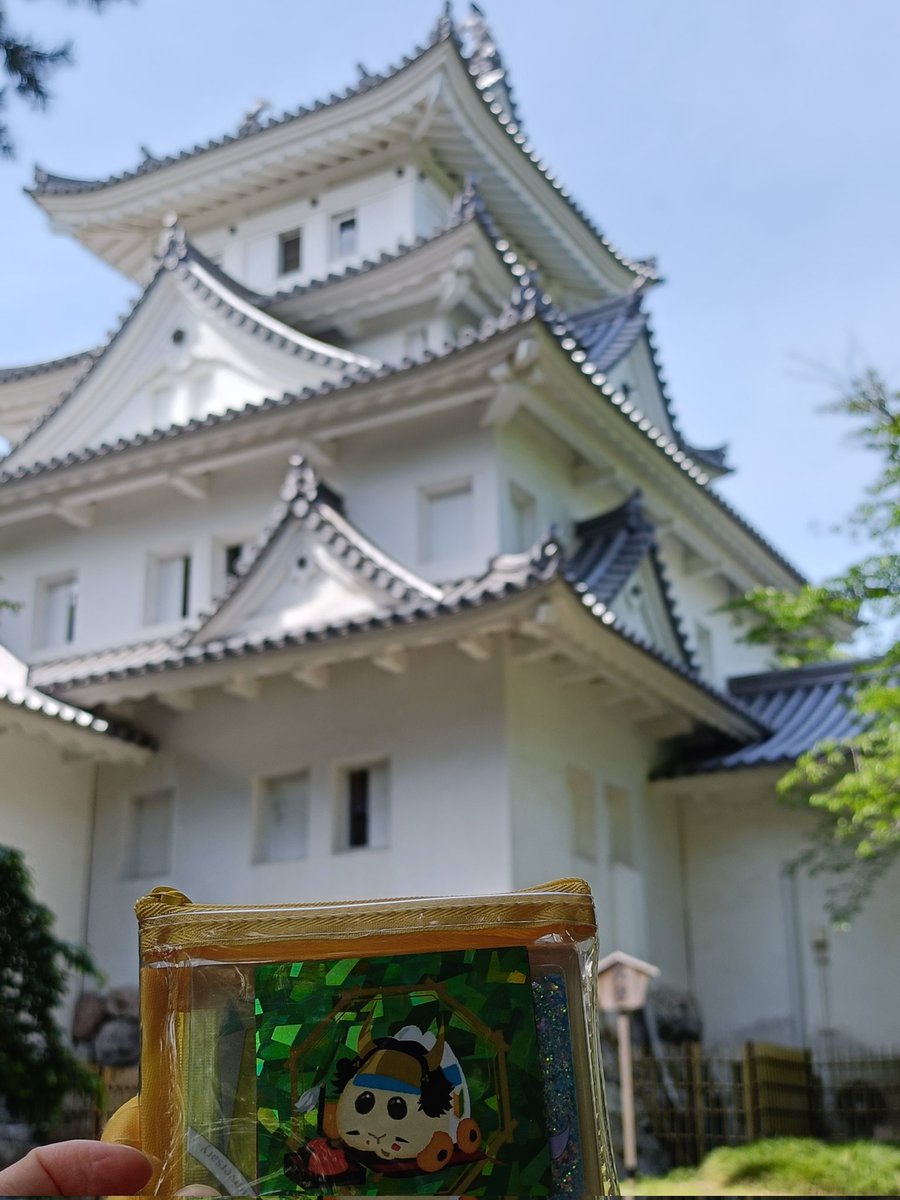 osharose_'s tweet photo. 関ヶ原の時に三成の城だった大垣城と、秀吉が一夜（3日）で築いたとされる墨俣城ぷい！ https://t.co/7OyUOlvO5x