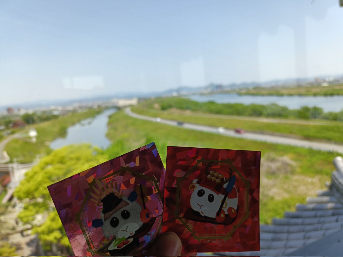 osharose_'s tweet photo. 関ヶ原の時に三成の城だった大垣城と、秀吉が一夜（3日）で築いたとされる墨俣城ぷい！ https://t.co/7OyUOlvO5x