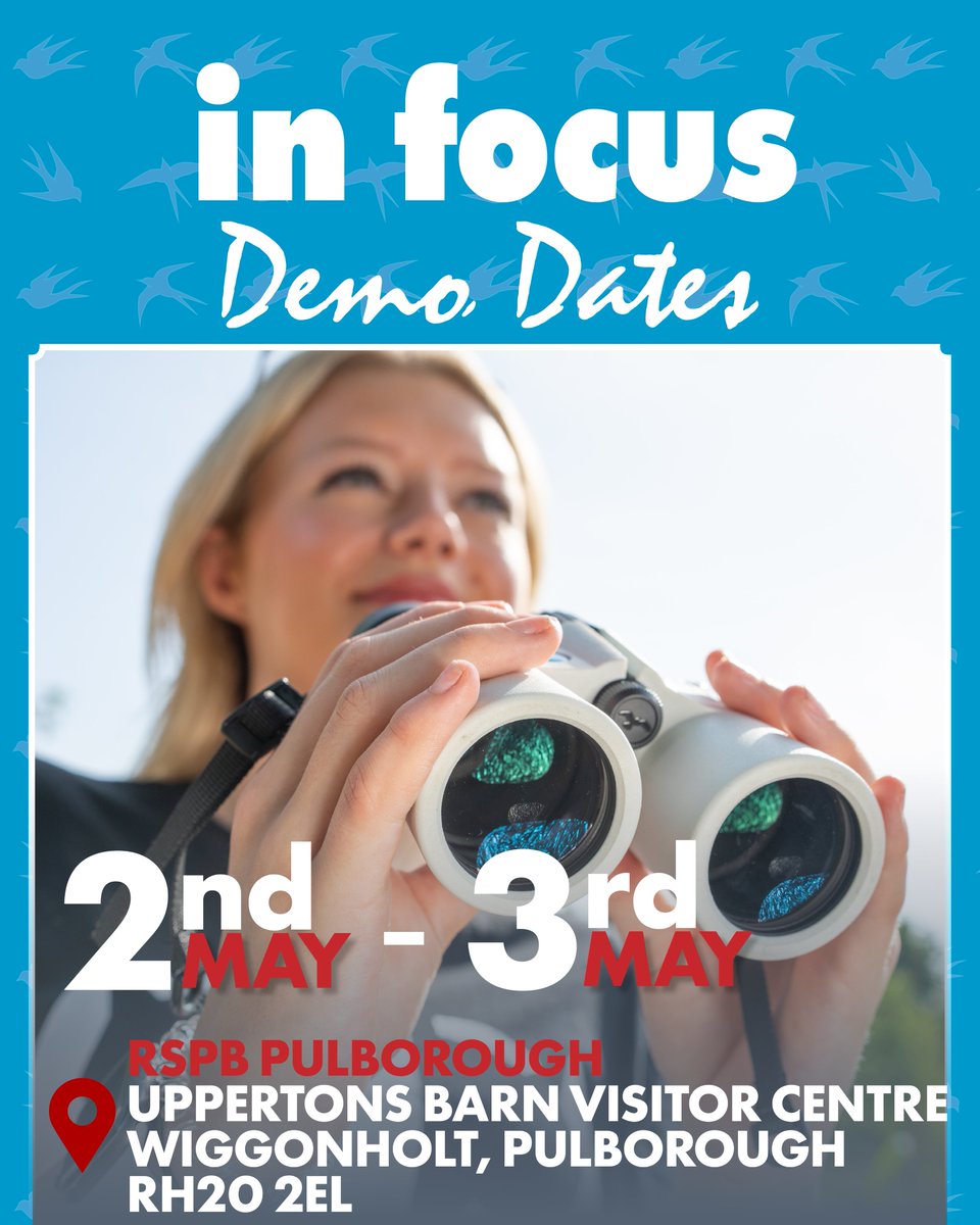infocus_retailers tweet media