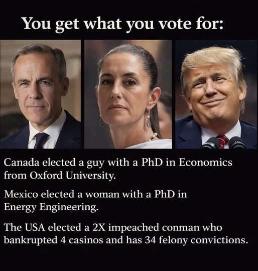 Diane 🇨🇦 tweet media
