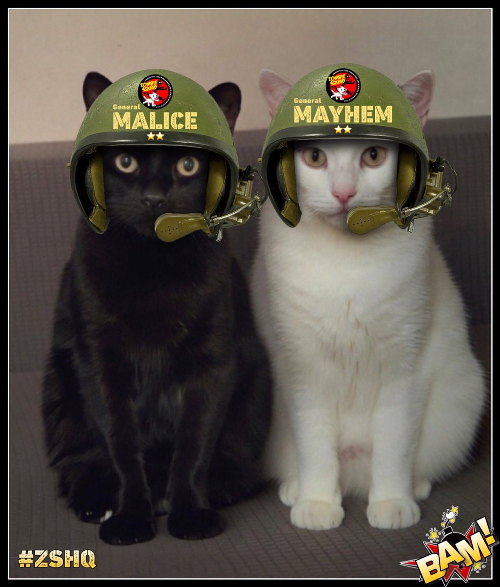 Lord Billy (oh, and Beatrix) tweet media