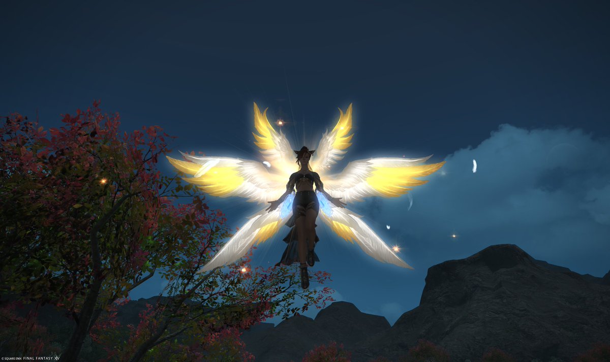 Demonen9's tweet photo. I got the wings :) https://t.co/J2TZf09bCJ