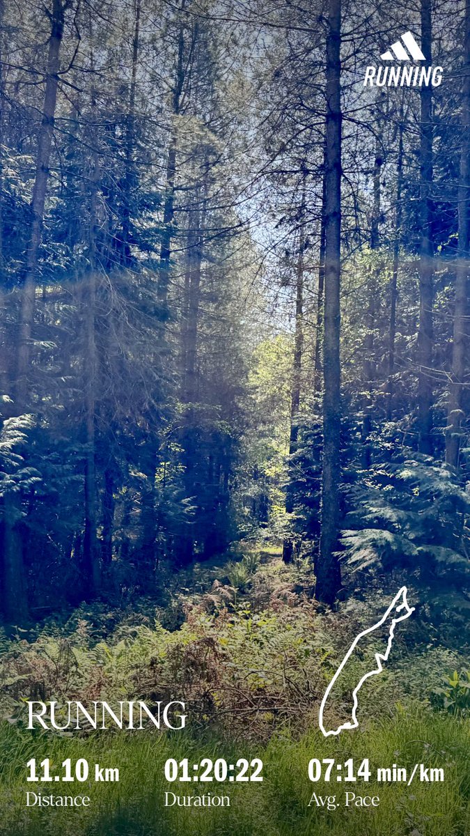 pafral's tweet photo. 10k+ to Alice Holt Forest and back https://t.co/qthERYwqJM
