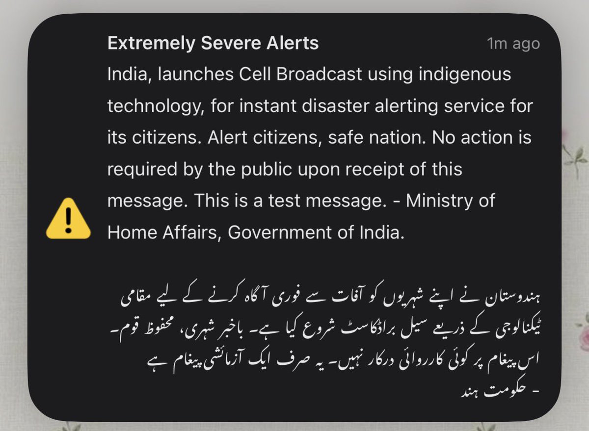 🍁 tweet media