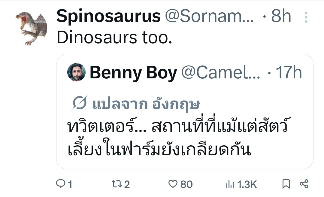 ชลน แมวส้มแท้ๆ 🐱 tweet media